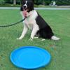 Disco Voador para Cão Resistente a Rasgos Boa Tenacidade Interativo Exquisito Delicado Ferramenta Esportiva TPR Disco Voador Engraçado Brinquedo para Cão para Filhote