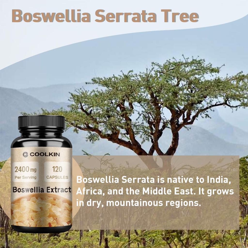 Boswellia-Extrakt - Kurkuma, Sauerkirsche - Gesunde Gelenke und Knorpelfunktion