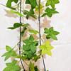 Artificial Red Maple Leaves Pothos Vine: Wall or Ceiling Hanging, Climbing Decorative Greenery