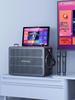 Shanshui Home KTV Karaoke Speaker System