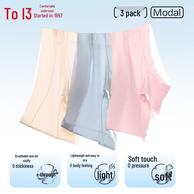 Hodo Women's Modal Silk Blend Antibacterial Briefs