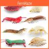 Pești și animale marine – Decorul acvariului