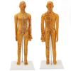 20.9in Acupuncture Female Model High Definition Clear Chinese Human Body Acupuncture Model for Teaching
