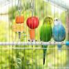 Bird Food Holder Cage Feeder Toy Parrot Stainless Steel Food Bowl Hanging Skewer for Fruit Treat for Lovebird Conure