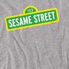 Sesame Street Unisex Adult Logo Heather Long-Sleeved T-Shirt