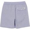 Polo Ralph Lauren SS24 Logo Embroidered Striped Elastic Waist Beach Shorts Men Shorts Blue 710905990-001