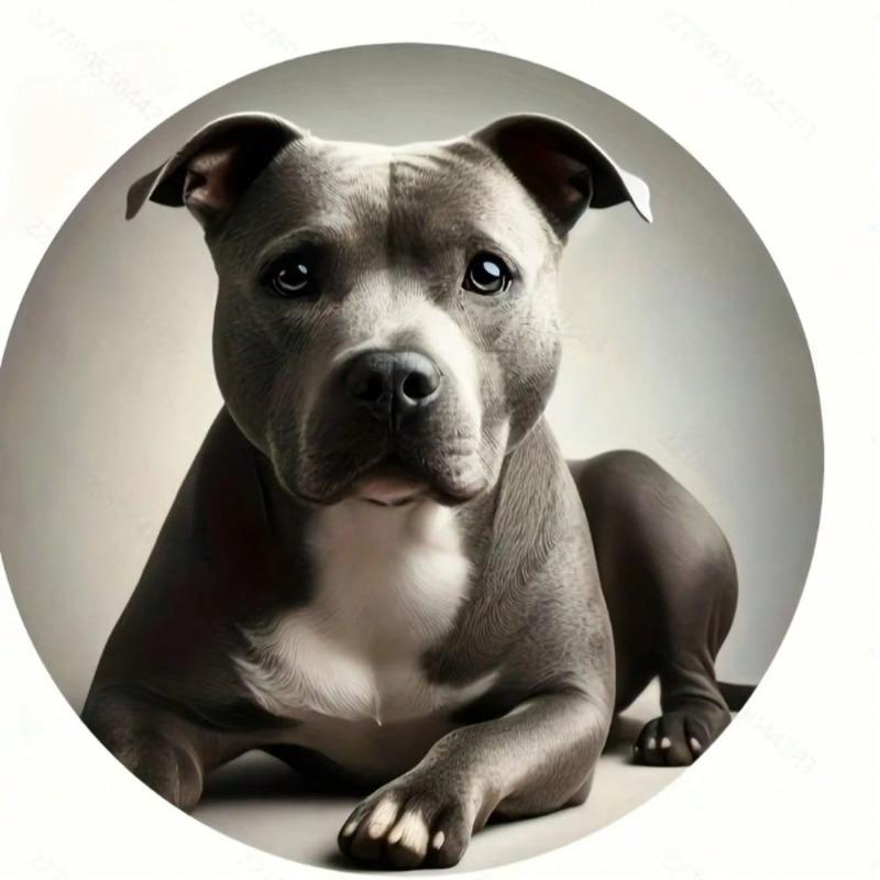 Arte da Parete in Metallo Staffordshire Bull Terrier Vintage Regalo Divertente Arredo Casa Giardino Bar