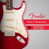 Fender Fender Electric Guitar Player II Stratocaster®, Rosewood Fingerboard, Transparent Cherry B...