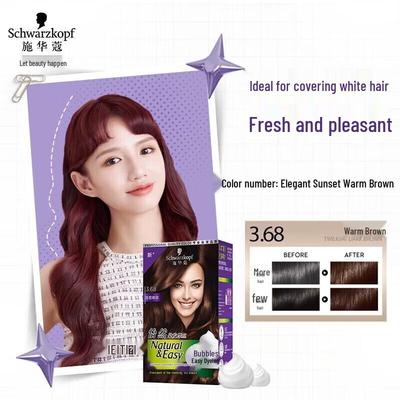 Natural Mousse Hair Dye