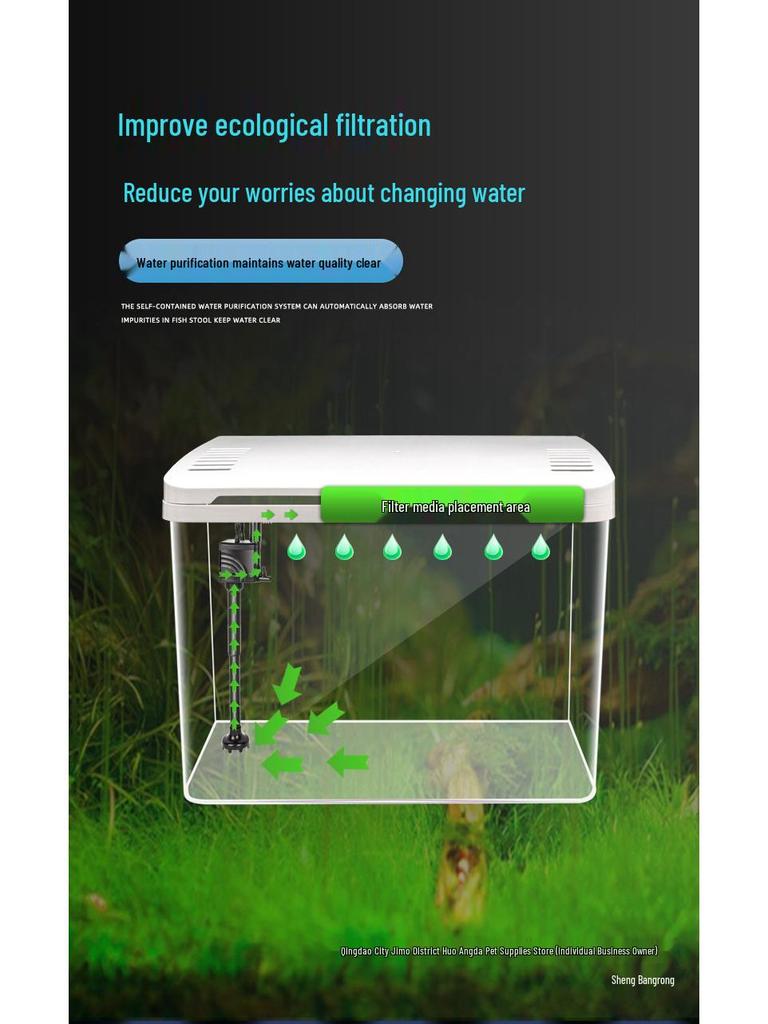 Acrylic High-Definition Fish and Turtle Tank for Living Room 