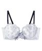 Amphi Hold Day GY with a High Underarm Design for a Fuller Bust and a Slimmer Fits Up To a G Bra, BYJ396, Women's, G75, Back. Cup.