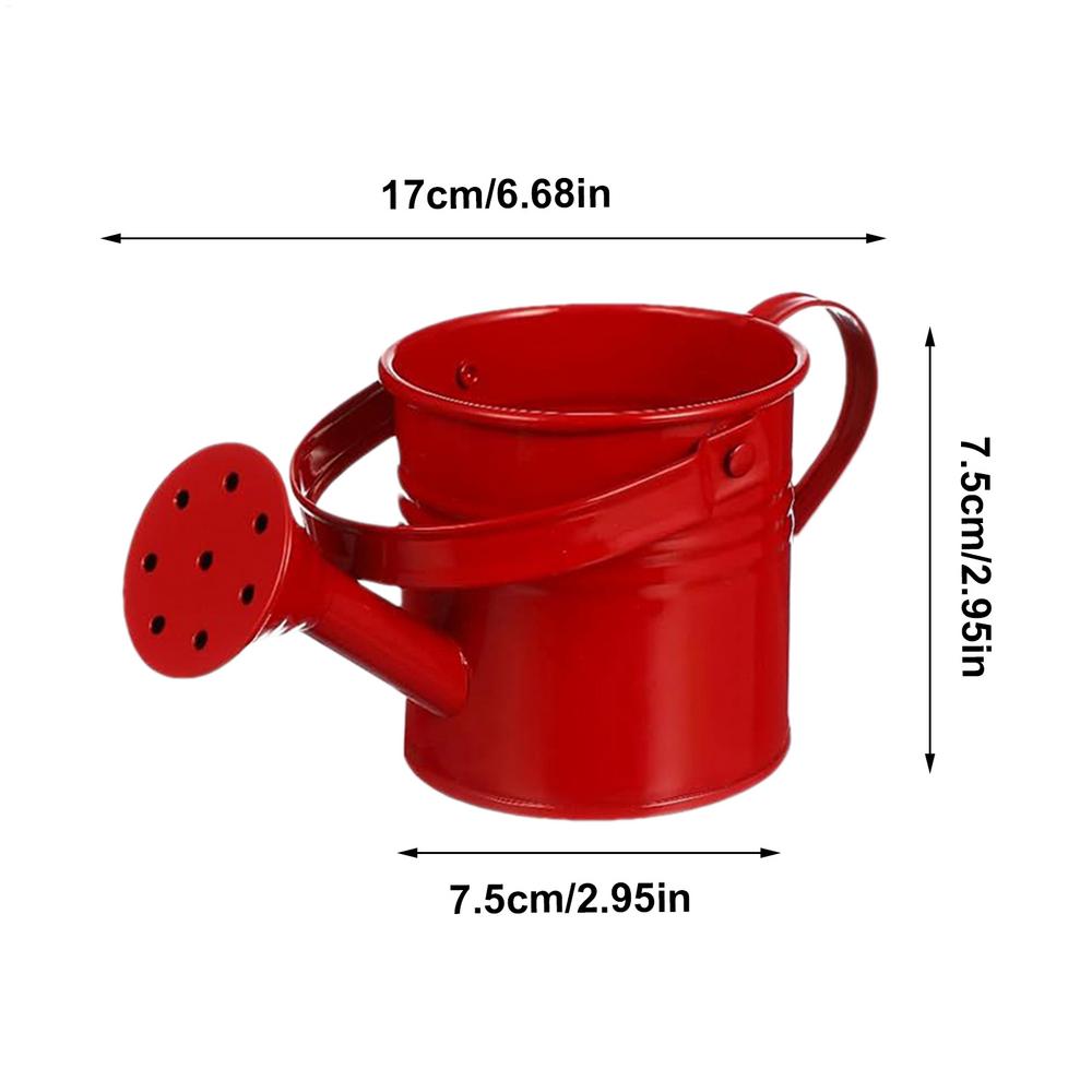 Galvanized Iron Watering Can Scene Ornament Plants Flower Kettle Container With Handle For Backyard Patio Lawn Family Friends