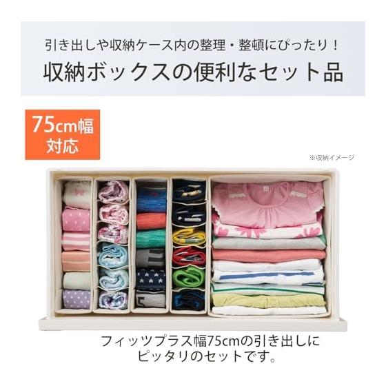 Tenma Storage Box Cloth Fits Fabric Series Seiton Box 5 Piece Set Fits Plus Compatible with 75cm Width B Set Ivory S: Approximately 9 X 33 X 11cm 2