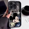 Mickey & Minnie iPhone 16/17 Pro Max Case - Compatible with iPhone 13/14/15 - Stylish Japan/Korea/US/Europe Design