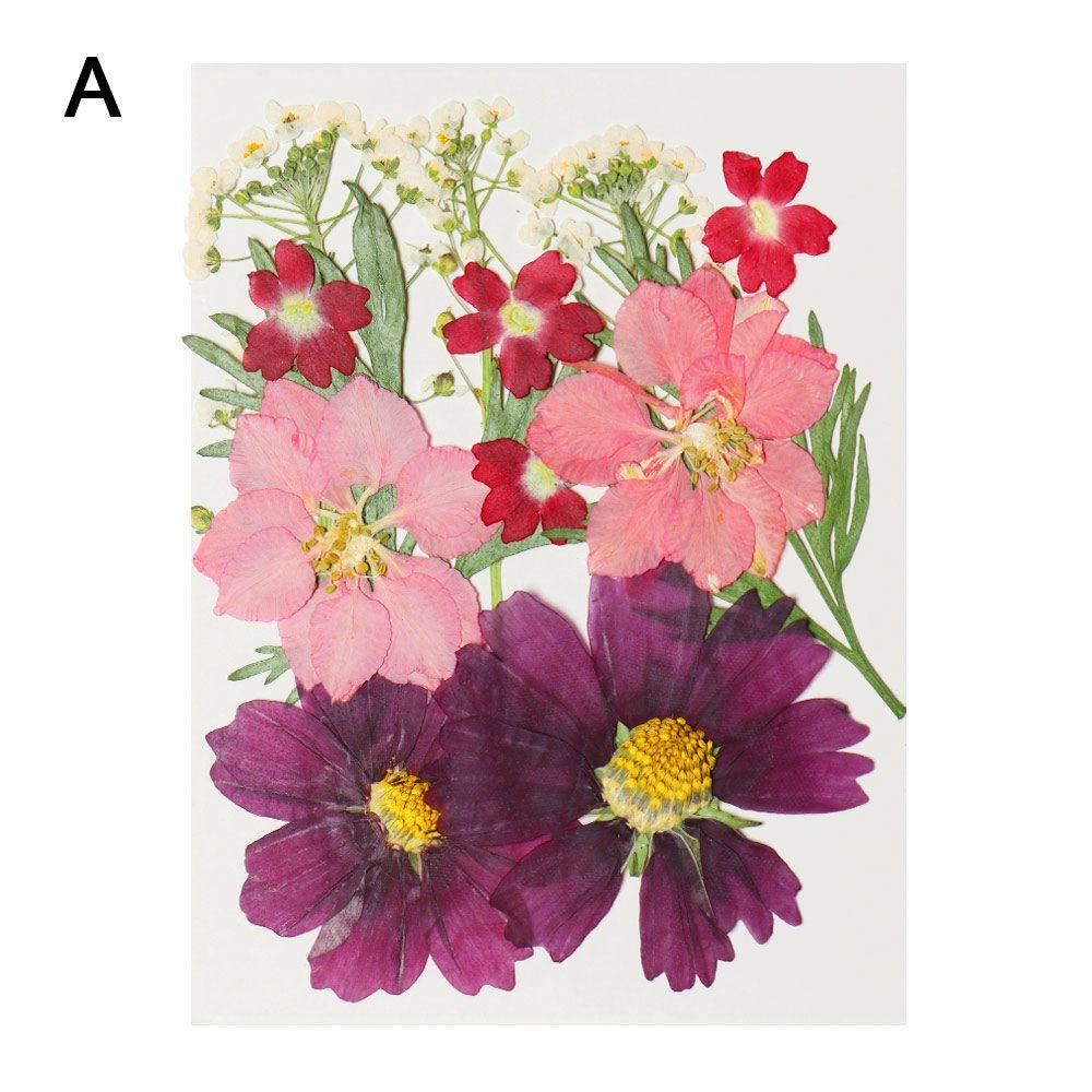 

Filling Materials Jewelry Making Beauty Decal Dried Flowers Resin Filler Resin Mold Filling Flower A