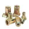 Flat Head Rivet Nut Zinc Plated Threaded Rivet Multi Size Nut Screws  For Screw Bolt