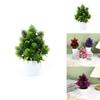 Plastic Faux Pinus Plant For Room Decor And Hotel Entrance With Durable Design