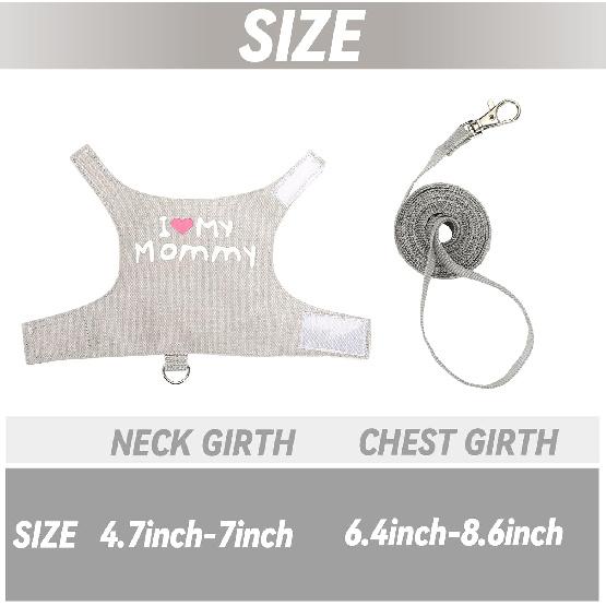 2 Pack Bearded Dragon Harness and Leash Set, Escape Proof Adjustable Lizard Reptiles Harness Cute Lizard Reptile Small Animal Harness Clothes with