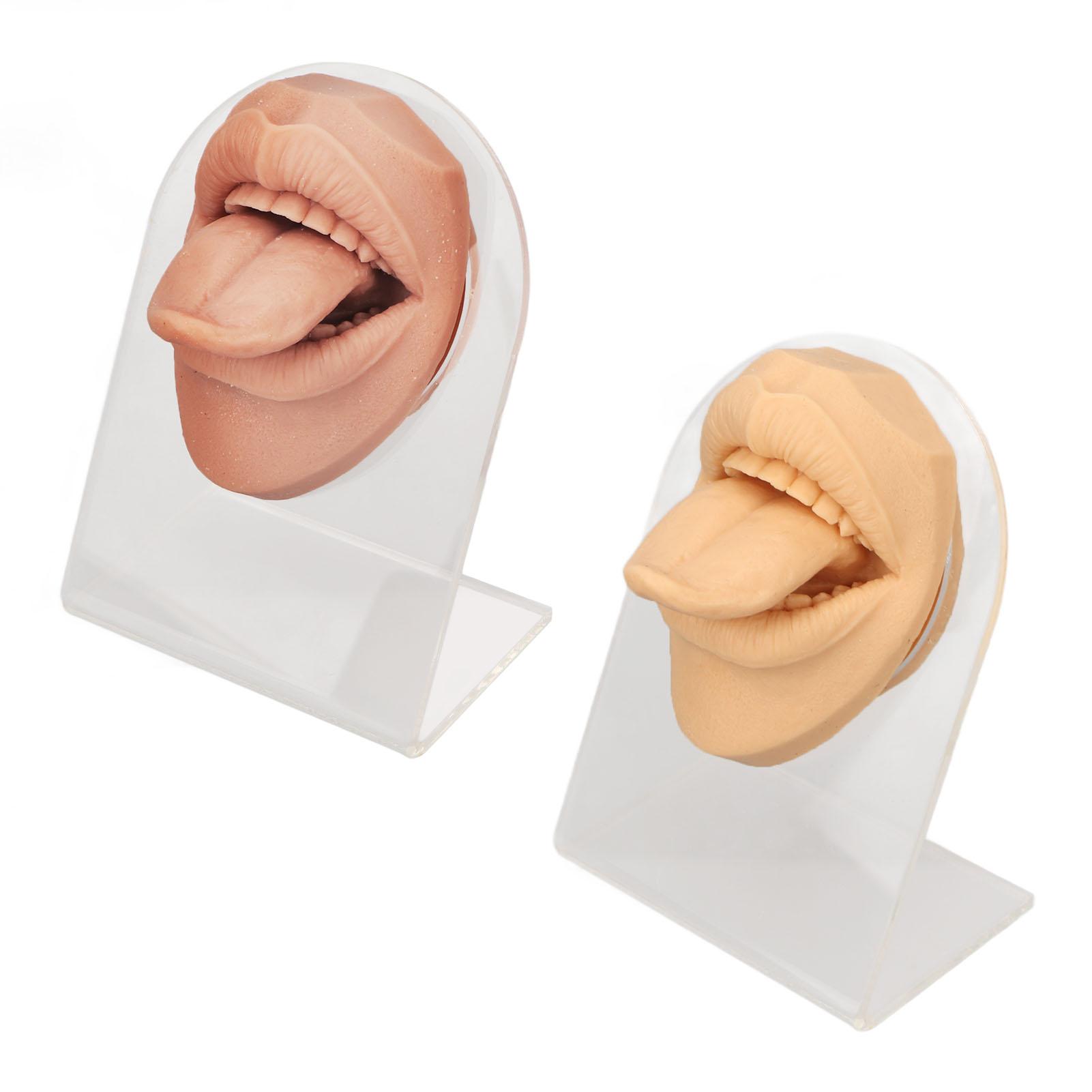 

2шт силиконовая модель языка и рта 3D имитация языка и рта с акриловой подставкой для пирсинга