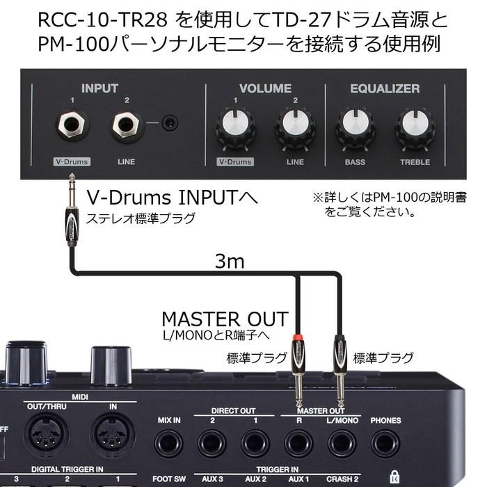 Roland PM-100 Electronic Drum Monitor Speaker with Cable Set (TD-17/27/50X/V71 Compatible)