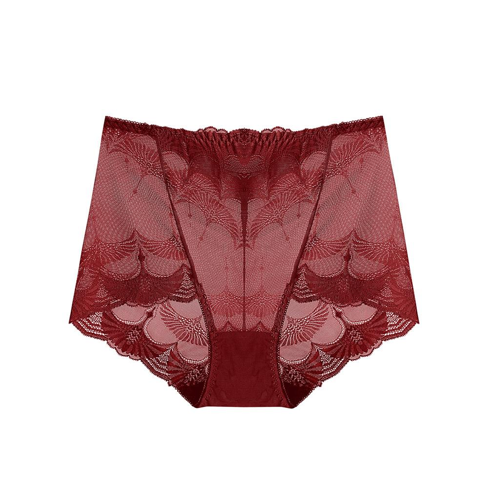 Lace Mesh Underwear for Women Plus Size Seamless Briefs Hollow Out High Waist Sexy Hip Lifting Breathable Triangle Panties