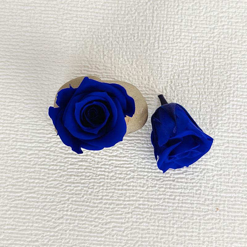 Blue Series Dried Flower DIY Kit: Hydrangea, Thousand-Layer Gold, Eucalyptus Leaf Souvenir Decoration