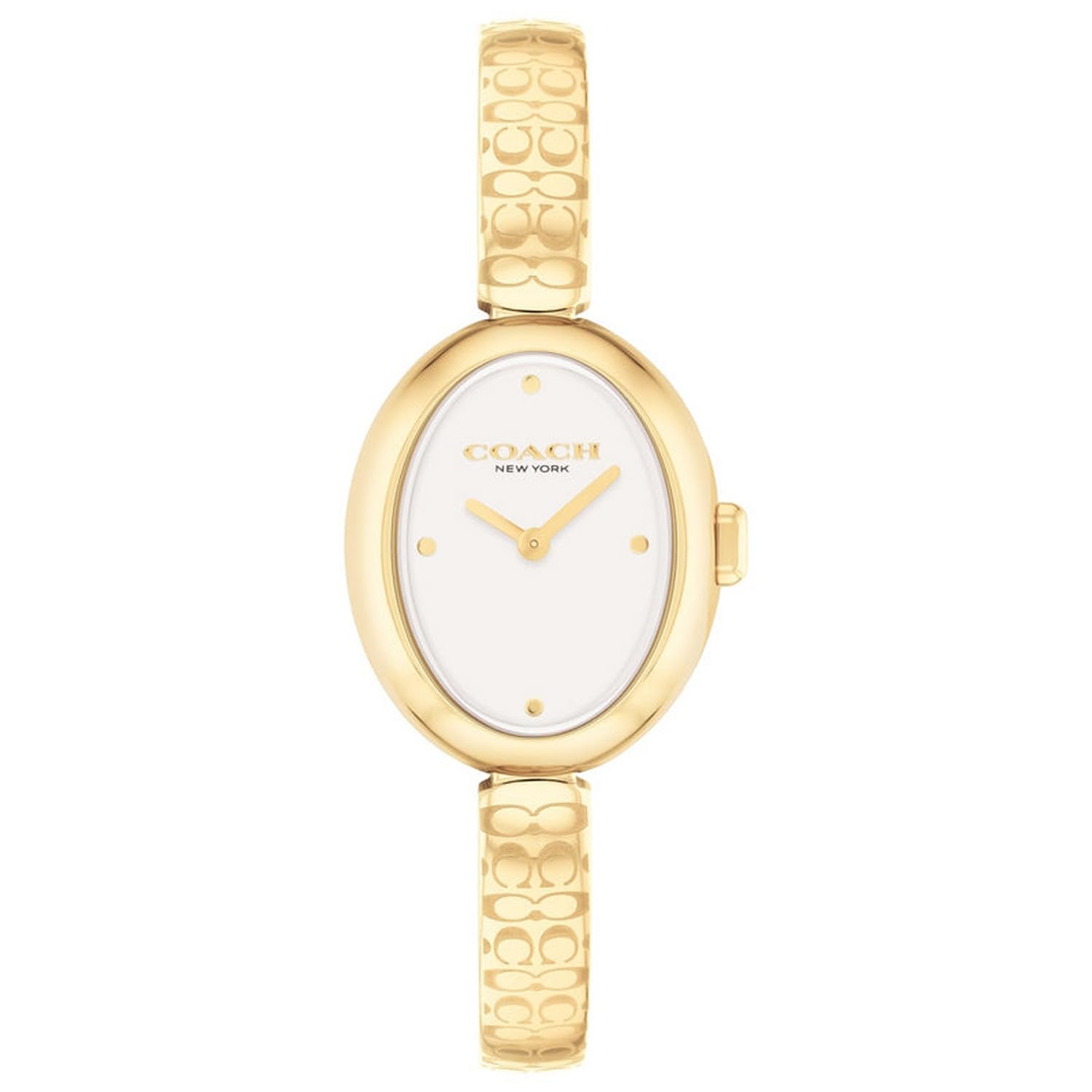 

Product Coach SAMMY 14504528 Ladies Gold Watch [Swissam Limited]