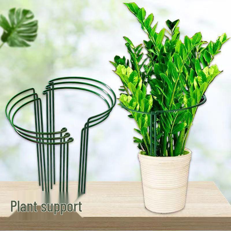 Newcomer Exclusive Flower Stand: Support Rod & Protection Frame for Money Tree