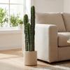 Artificial Plant Cactus Plants Large 95 Cm with Pot Like Real for Home, Office, Green