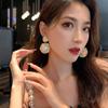 Needle Fashion Personality New Big Pearl Earrings Korean Tide European and American Big Earrings Temperament Exaggerated