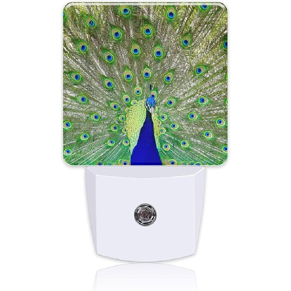 Night Light for Kids Girls Boys, Magnificent Peacock LED Night Light Plug Into Wall with Dusk To Dawn Sensor for Room Decor, Hallway, Kitchen,