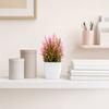 Simulated Small Potted Plants Maintenance-free Pink Faux Flowers With Pots 1 Pc
