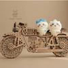 3D Wooden Puzzle DIY Model - Creative Kids & Adults Handcraft Gifts Set