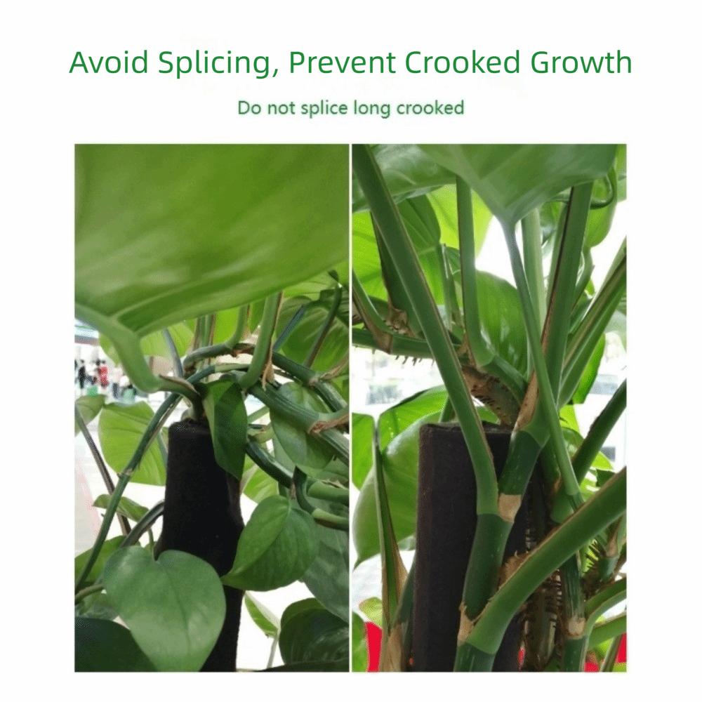 Ventilate Climbing Plant Stand Plastic Potted Plant Holder Plant Support Bracket Indoor Plant Use