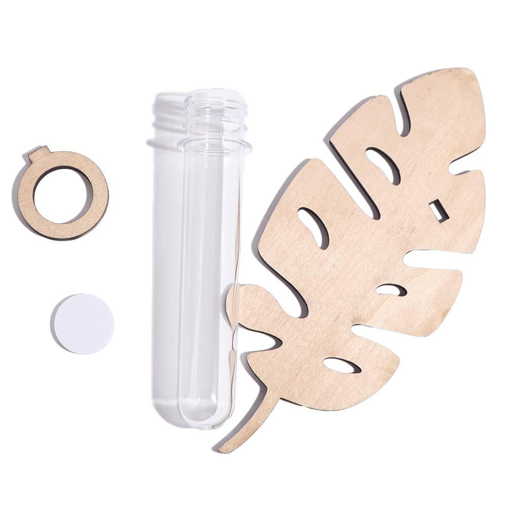 Plant Storage Rack Hydroponic Vase Wooden Hanging Planter Wall Hanging Vase  Home/Office Decor