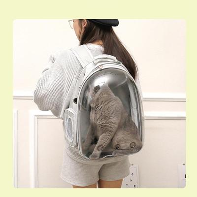 Sac à dos pour animaux de compagnie 1PC Chat et chien Sac à bandoulière transparent Sac portable Sac à dos panoramique Fournitures de transport pour petits animaux