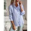 Fall Winter Women's Long Sleeve Shirt Elegant Commute Blouse Top for Casual Daily Office Wear