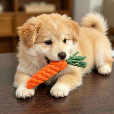 Pletená mrkev Hračka pro psa Bezpečné bavlněné lano Psí žvýkací hračka Hračka na čištění zubů pro štěně při prořezávání zubů Interaktivní hra na aportování