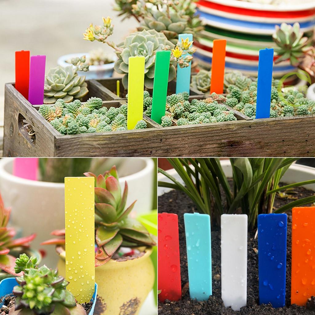 Garden Plant Label Plastic Arrow Sign Nursery Seedling Tray Marker Flower Bonsai Number Plate DIY Gardening Tool Multiple Colors