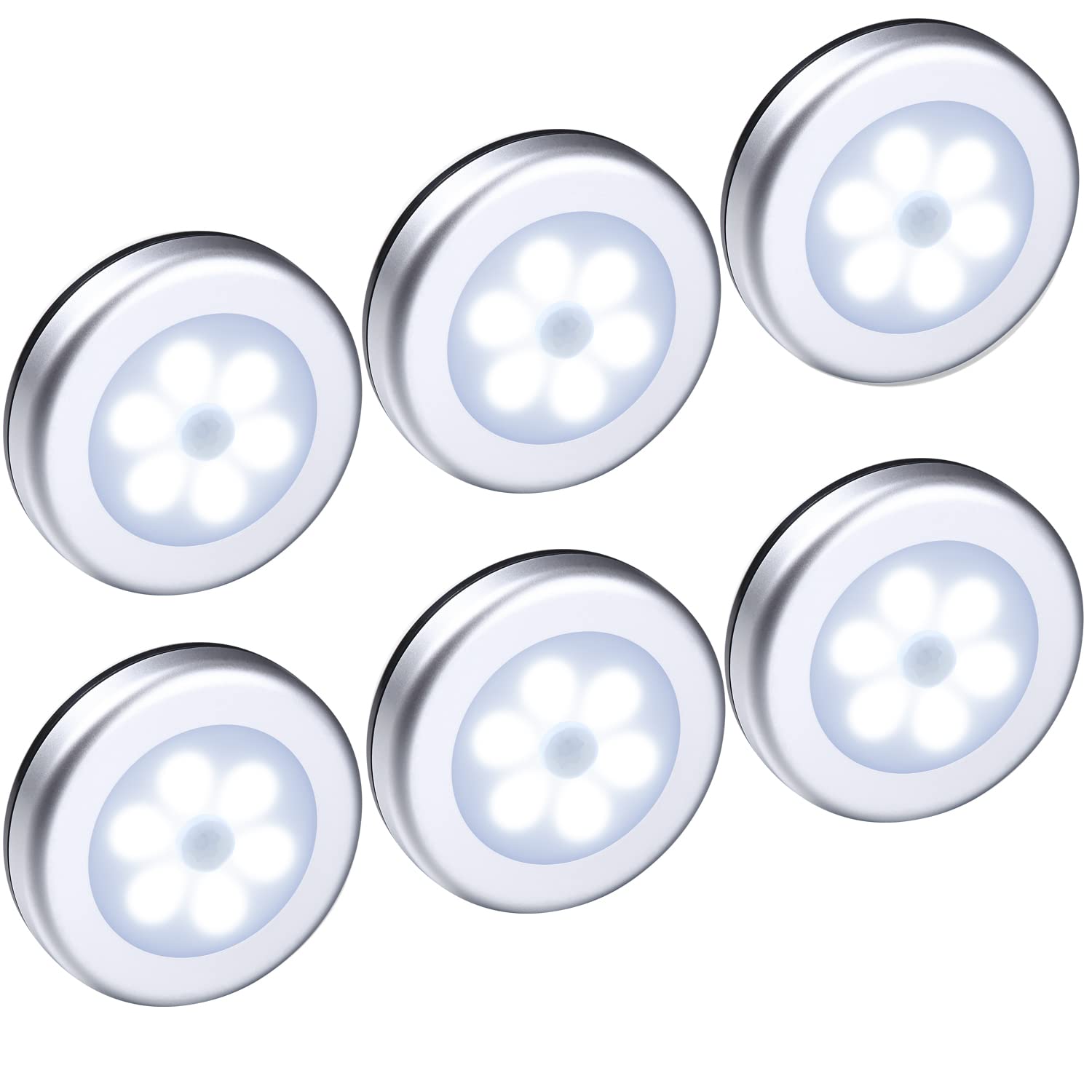 6 Pack Silver