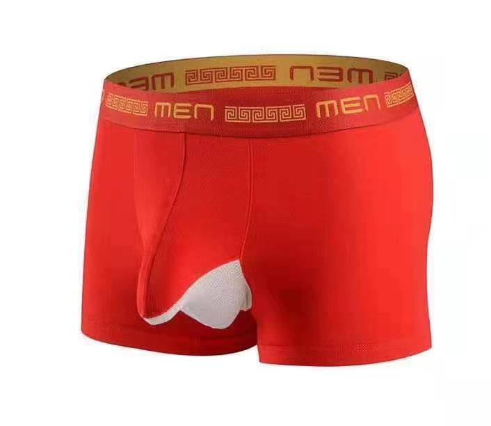 Men's Breathable Mesh Oversized High Elasticity Mid Waist Youth Sexy Underwear