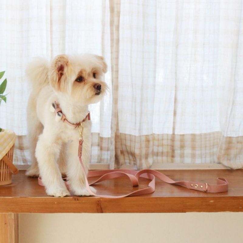 MAISON DE MIU Laufbegleiter Leder&Gurtband Leine_Rosenrot