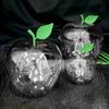 Realistic Apples Shaped Plastic Candy Box For Party Decorations And Gift Packaging Back to School Party Supplies