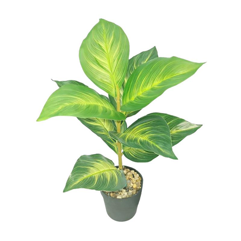 Desktop Rubber Tree & Aspidistra Potted Plant - Bionic Green Landscape Ornament