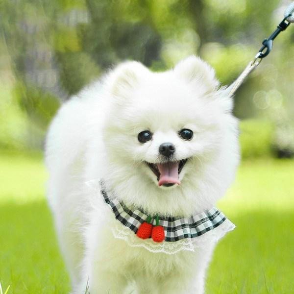 Pastel Pet Check Frill Flower Harness + Leash Set, Gray