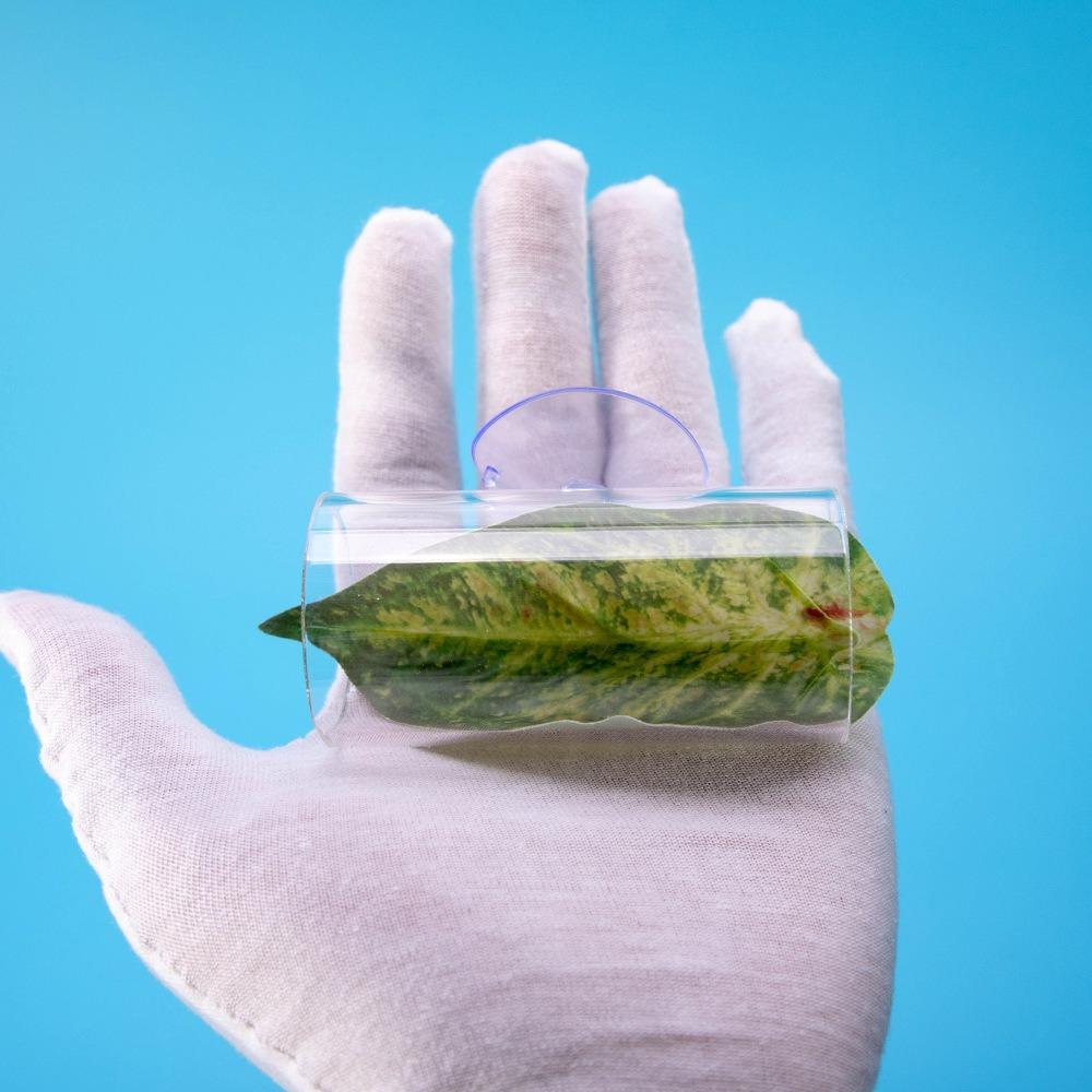 Hide Betta Fish Acrylic Tube With Leaves Pad Betta Fish Tank Decorations