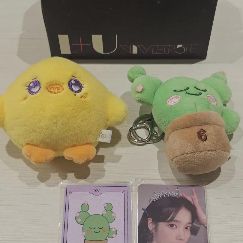 

IU Фан-концерт Первый Конус Ёкчогён