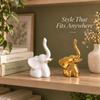 Home Decor Elephant Statue for Good Luck, Fengshui Ceramic Creative Small Modern Style Elephant Idol Figurines