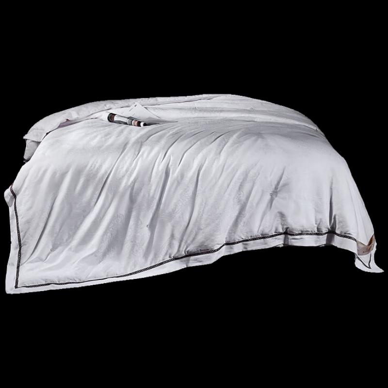 

Tianqin Premium Silk-Like All-Season Quilt