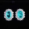 Luxury Paraiba Gemstone Imitation Necklace & Earrings Set